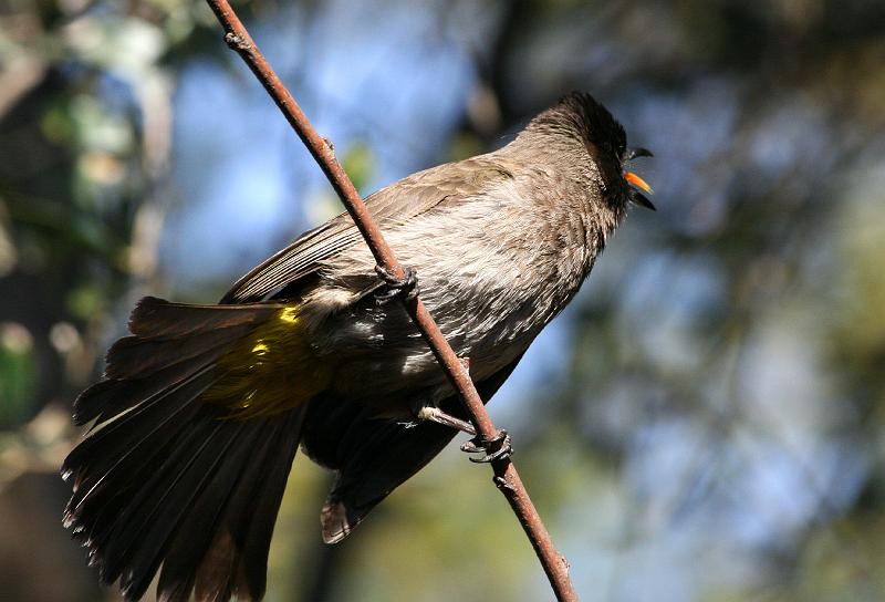 frieda 069.jpg - Waar is jy?...